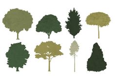 the silhouettes of various trees are shown in different colors and sizes, including green