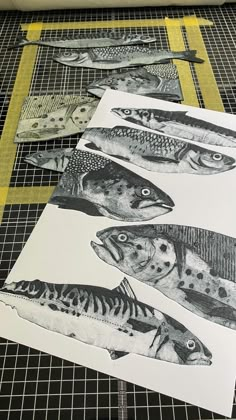 five fish are shown in black and white on a piece of paper next to some scissors