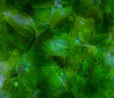 an abstract photograph of green leaves