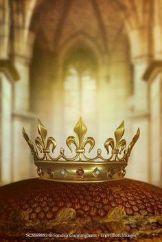 a golden crown sitting on top of a red pillow