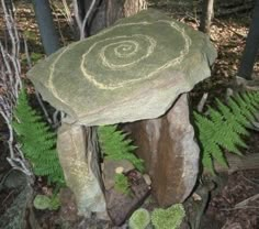 a rock with a spiral design on it in the woods