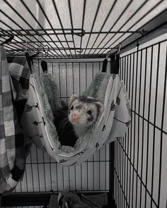 a ferret is sitting in a cage with his head inside the hammock