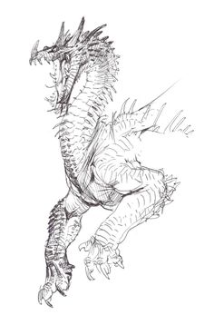 a black and white drawing of a dragon