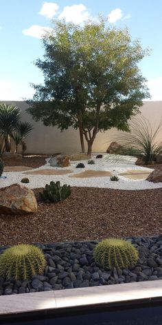 an outdoor area with rocks and cactus plants