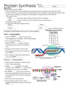 an image of protein structure worksheet with diagrams on the diagram and label below