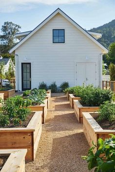 a white house with lots of plants in the front yard and garden beds on both sides