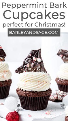 chocolate peppermint bark cupcakes with white frosting on top