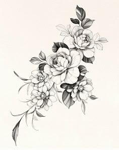 a black and white drawing of flowers with leaves on the bottom half of each flower