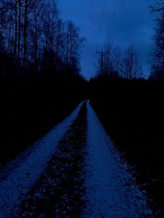 a road in the woods at night with no one on it