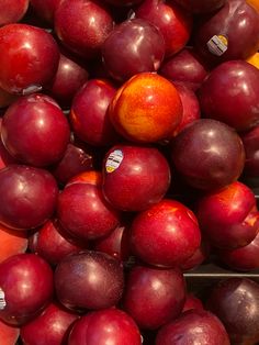 apples and oranges stacked on top of each other