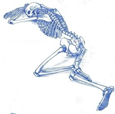 a drawing of a skeleton sitting on its back with one foot in the air and another leg