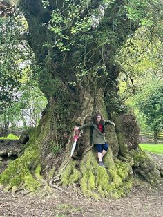 a man sitting on the base of a large tree with green moss growing all over it