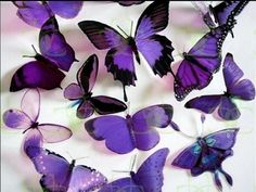 purple butterflies with the words i miss you