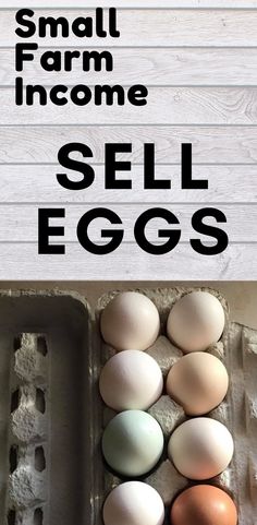 an egg carton with eggs in it and the words small farm income sell eggs