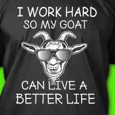 a goat wearing sunglasses with the words i work hard so my goat can live a better life