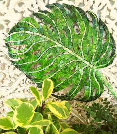 a green leaf sitting next to a potted plant