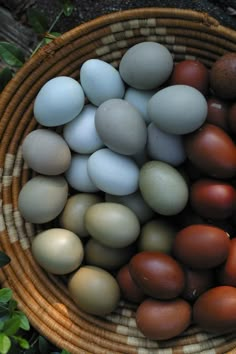 a basket filled with lots of different colored eggs