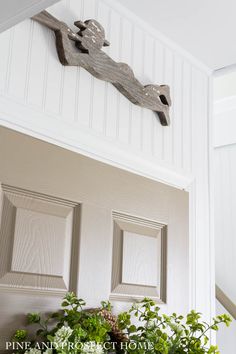 a potted plant sitting on top of a wooden shelf next to a white door