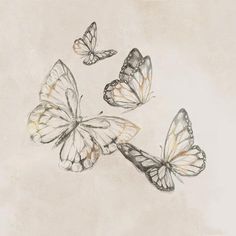 four butterflies flying in the air