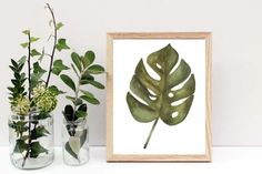 two vases filled with plants next to a framed photograph