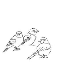 three birds sitting on top of each other near one another in black and white ink