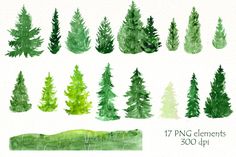 watercolor pine tree clipart set