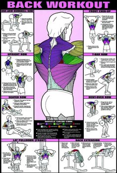 the back workout poster shows how to do an exercise with your arms and legs, as well