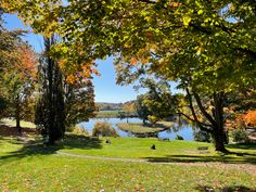 the park is full of trees and people are sitting on the grass by the water