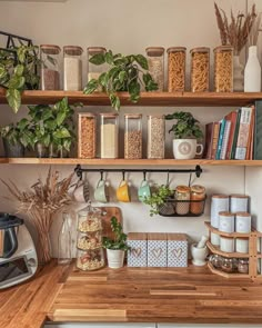 the kitchen counter is covered with plants and other things on shelves above it are coffee grinders, teapots, books, and more