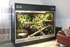 a living room with a couch and an aquarium