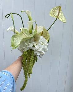 a hand holding a bouquet of white flowers and greenery in front of a wooden wall