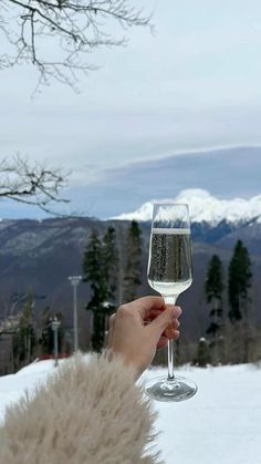 a person holding a wine glass in their hand on top of snow covered ground with mountains in the background