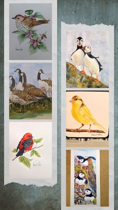 four different birds are shown in this collage