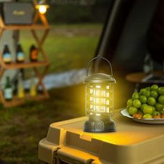 a table topped with a plate of fruit and a light on it's side