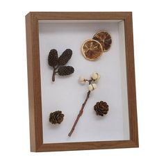 a shadow box with pine cones and dried oranges in the center, on a white background