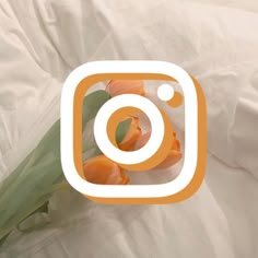 an instagram photo with tulips and leaves on white sheets, as well as the instagram logo