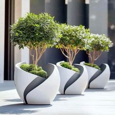 three white vases with trees in them sitting on the side of a building next to each other