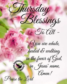 pink flowers with green leaves and the words, sunday blessing to all