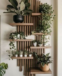 some plants are sitting on wooden shelves in the corner