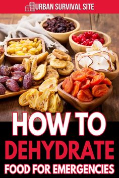 the cover of how to dehydraate food for emergency