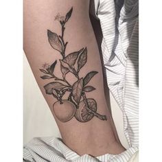 a black and white photo of an apple tree branch tattoo on the right arm with leaves