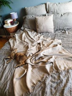 a cat laying on top of a bed covered in blankets