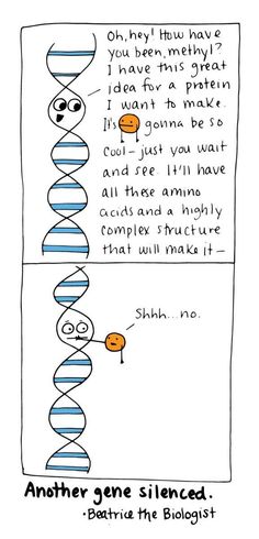 a comic strip with an image of two strands and the caption, another gene is