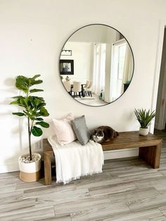 a living room with a mirror, couch and potted plant