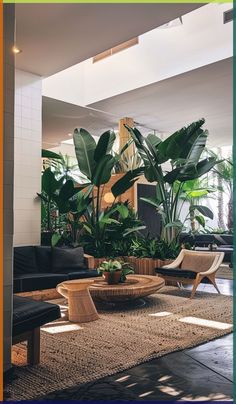 a living room filled with lots of plants and furniture