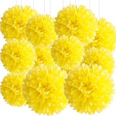 a bunch of yellow flowers hanging from strings on a white background with clippings