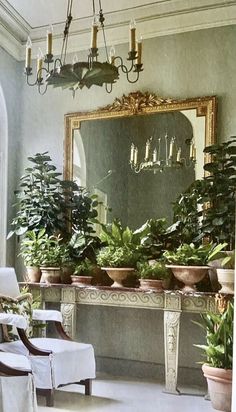 there are many potted plants on the table in front of the mirror and chandelier