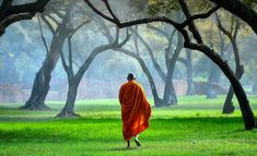 a person in an orange robe is walking through the grass