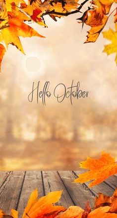 an image of autumn leaves on the ground with hello october written in black and white