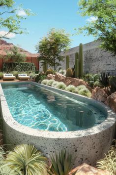 an outdoor swimming pool surrounded by greenery and cactus plants in the desert style garden